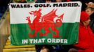 FILE PHOTO: Soccer Football - Euro 2020 Qualifier - Group E - Wales v Hungary - Cardiff City Stadium, Cardiff, Wales, Britain - November 19, 2019  Fans display a Wales fl