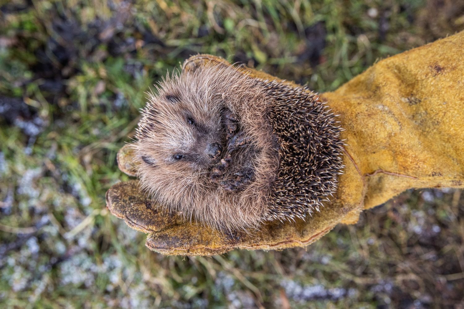 Nominace na ceny Czech Nature Photo 2022