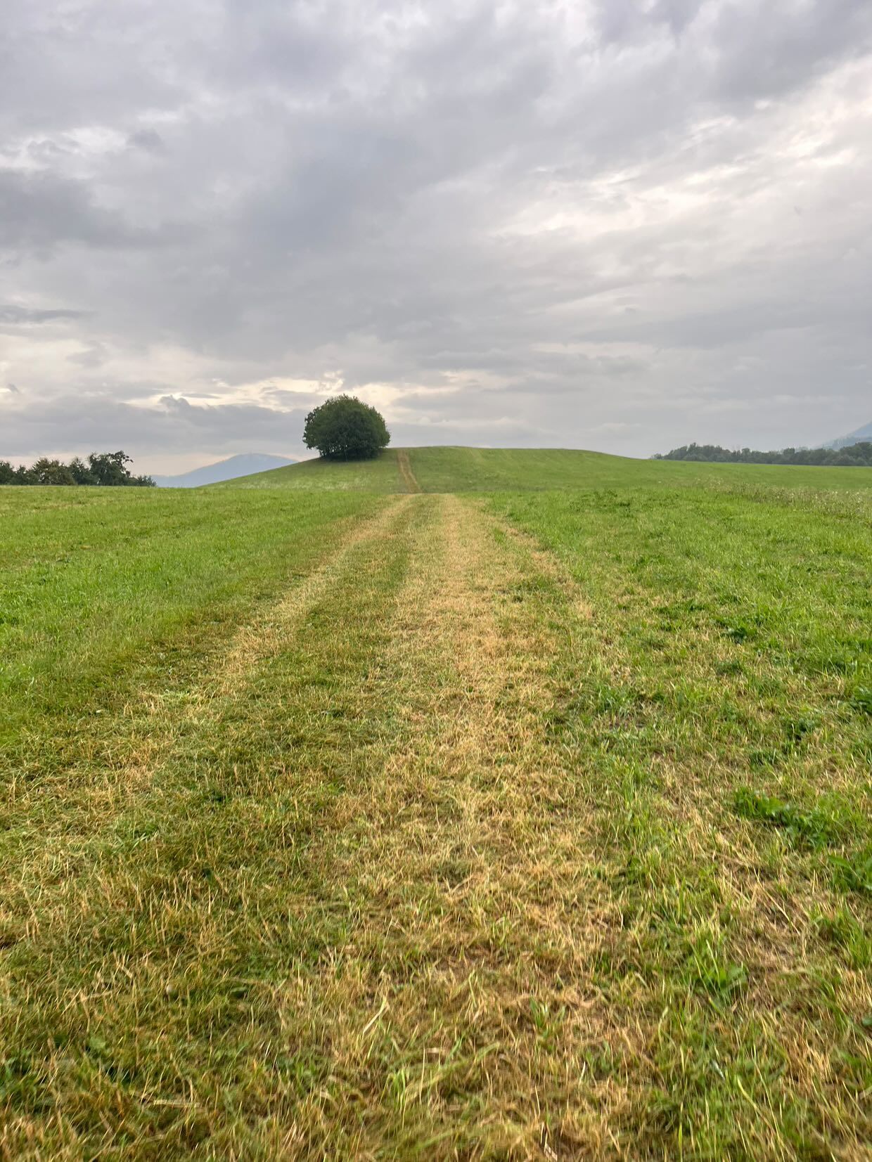 Pěšky přes Česko