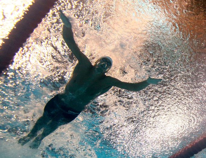 MS v plavání Barceloan 2013: Chad Le Clos