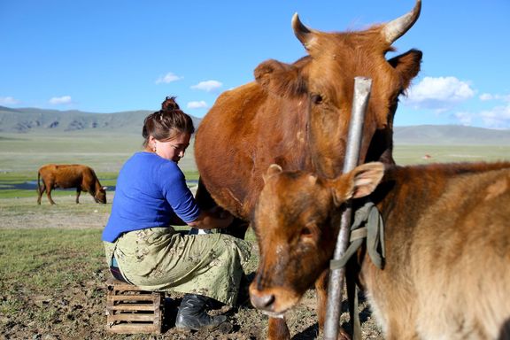Z první expedice do Mongolska vznikl oceňovaný cestovatelský filmový dokument