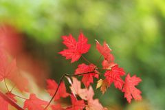 Udeří malé babí léto. Meteorologové prozradili, kdy se počasí znovu pokazí