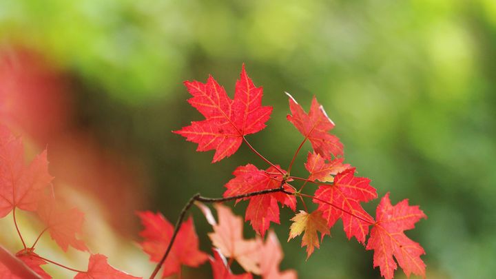 Udeří malé babí léto. Meteorologové prozradili, kdy se počasí znovu pokazí