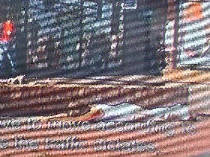 Cena Jindřicha chalupeckého