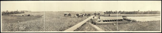 Bavlníková plantáž ve státě Georgia, okolo roku 1917.