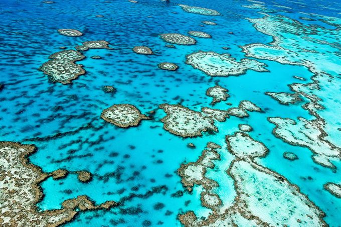 Velký bariérový útes, Austrálie