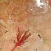 Fotogalerie / Jak vypadá Afrika z vesmíru objektivem NASA