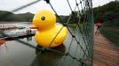 A scaled replica of the rubber duck by Dutch conceptual artist Florentijn Hofman is seen on a lake side park in Kunming, southwestern China's Yunnan province, on June 10, 2013. The 13-metre-tall and 15-metre-long replica was set up at a cost of RMB 20,000 (USD 3,500) to attract local touristsl, local media reported. (EyePress/Campion Wong)