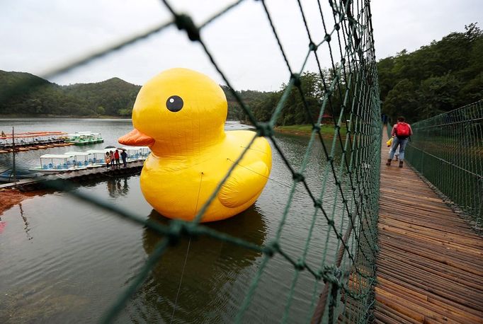 A scaled replica of the rubber duck by Dutch conceptual artist Florentijn Hofman is seen on a lake side park in Kunming, southwestern China's Yunnan province, on June 10, 2013. The 13-metre-tall and 15-metre-long replica was set up at a cost of RMB 20,000 (USD 3,500) to attract local touristsl, local media reported. (EyePress/Campion Wong)