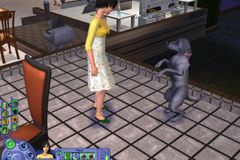 The Sims 2: Mazlíčci - virtuální útulek