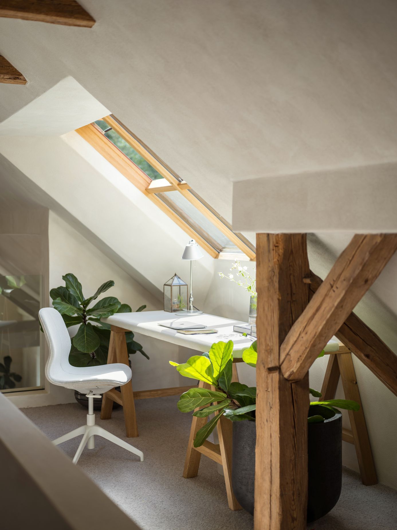 rekonstrukce, realizace, dům, miramari