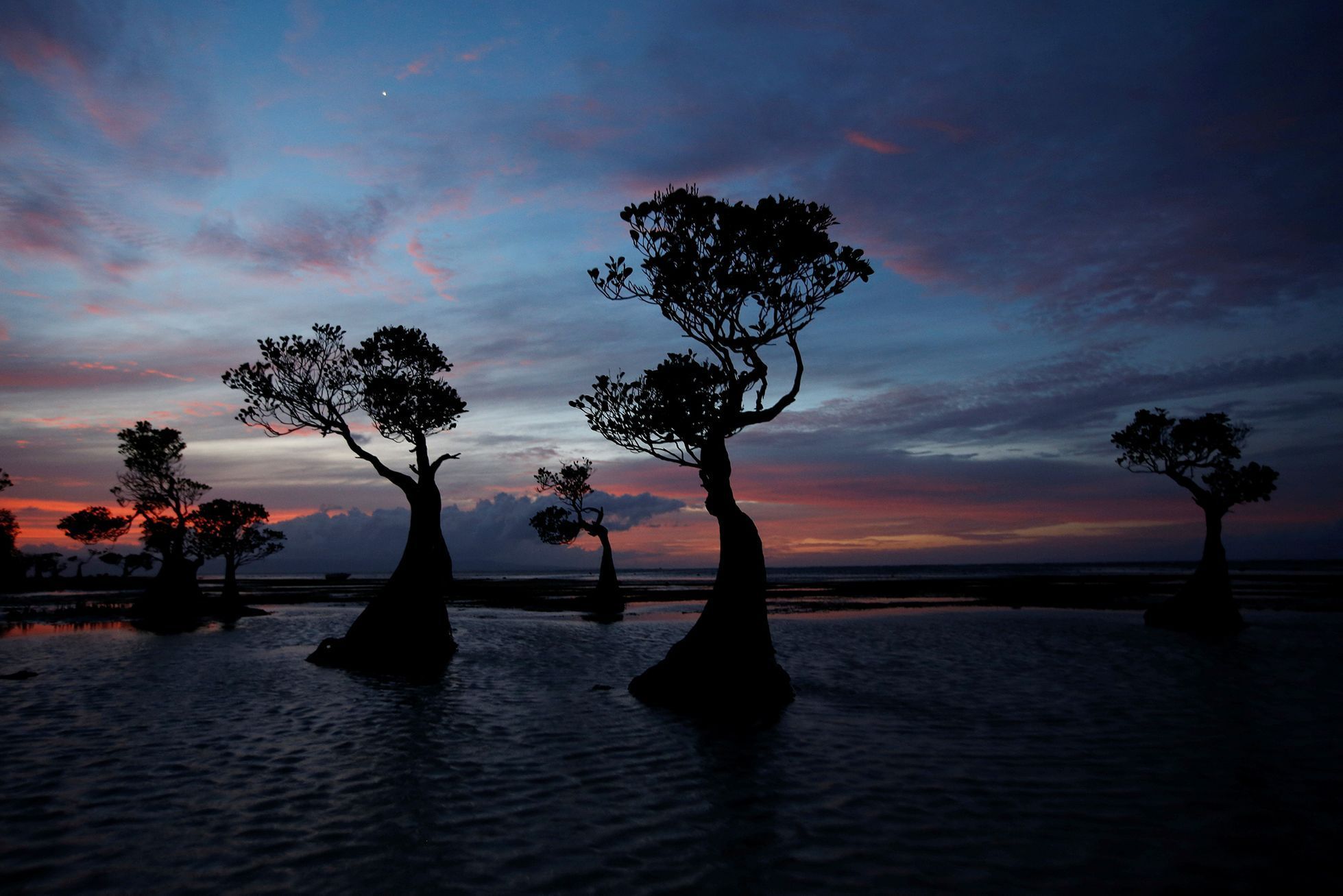 Fotogalerie / Jak se žije na indonéském ostrově Sumba, kde v loňském roce nepršelo 290 dní v kuse / Reuters