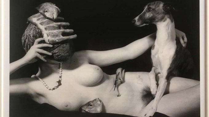 V DOXu se 24. října 2025 otevře výstava s názvem Joel-Peter Witkin: Rozbitý svět.