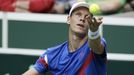 DC, Česko - Nizozemsko: Tomáš Berdych