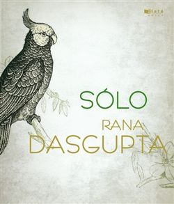 Rana Dasgupta - Sólo