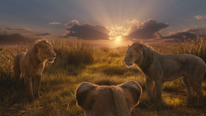 Film Mufasa: Lví král promítají česká kina od minulého čtvrtka.