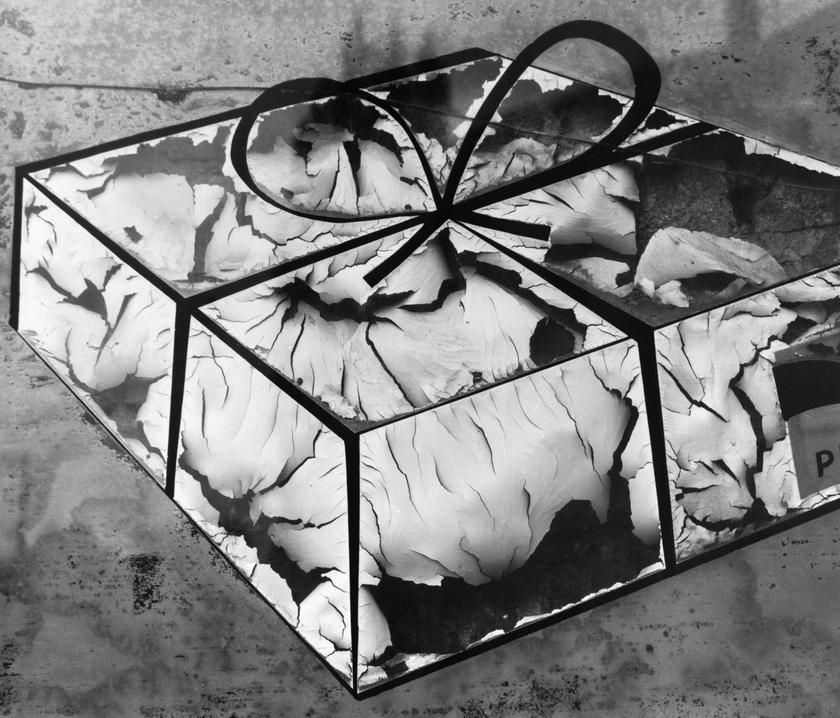 Výstava: Vilém Reichmann. Každá věc je počátkem básně, Vilém Reichmann, fotograf, výstava, Brno, Foto, Magazín