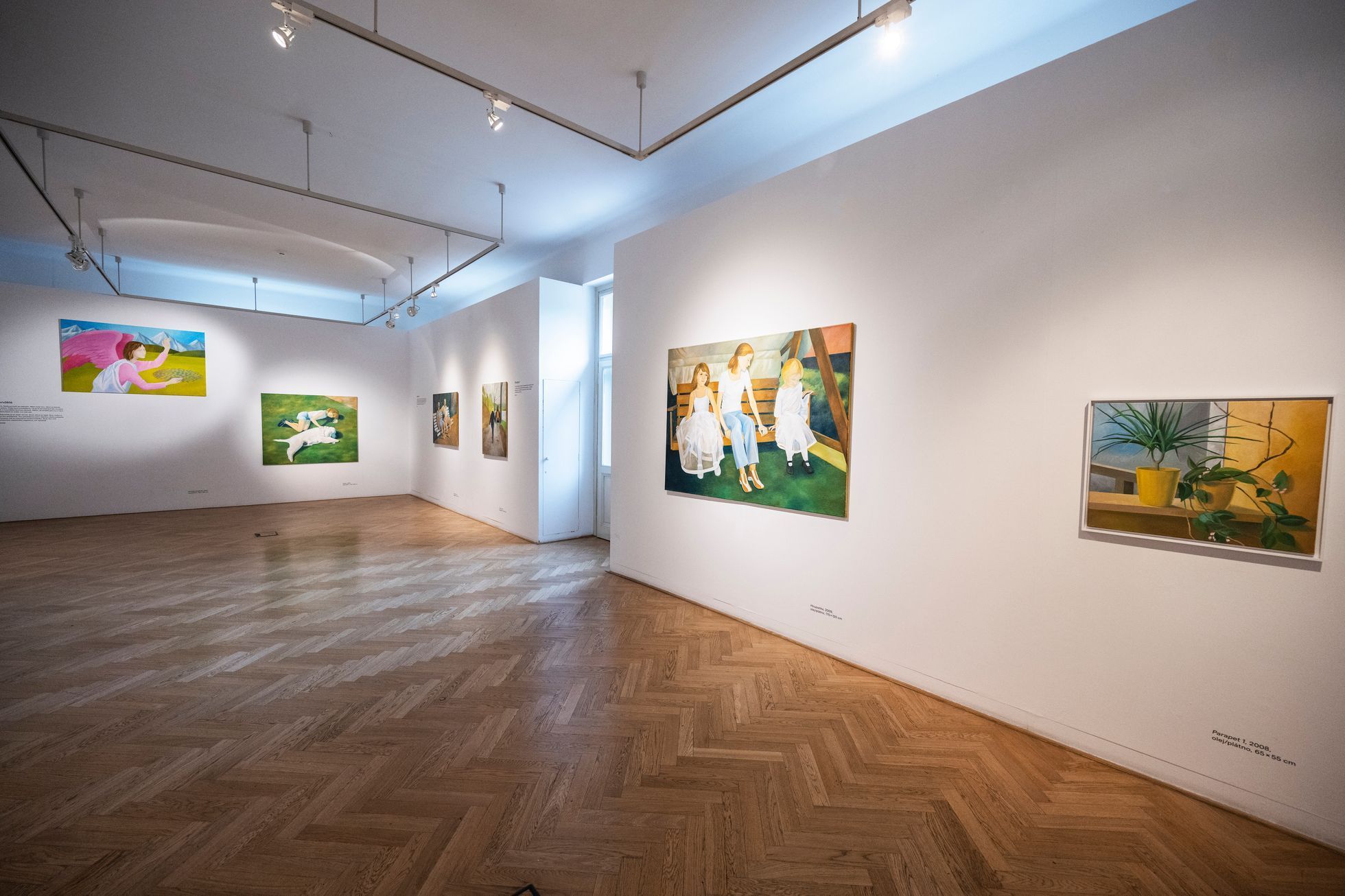 Zdena Šafka, Galerie Villa Pellé, 2023