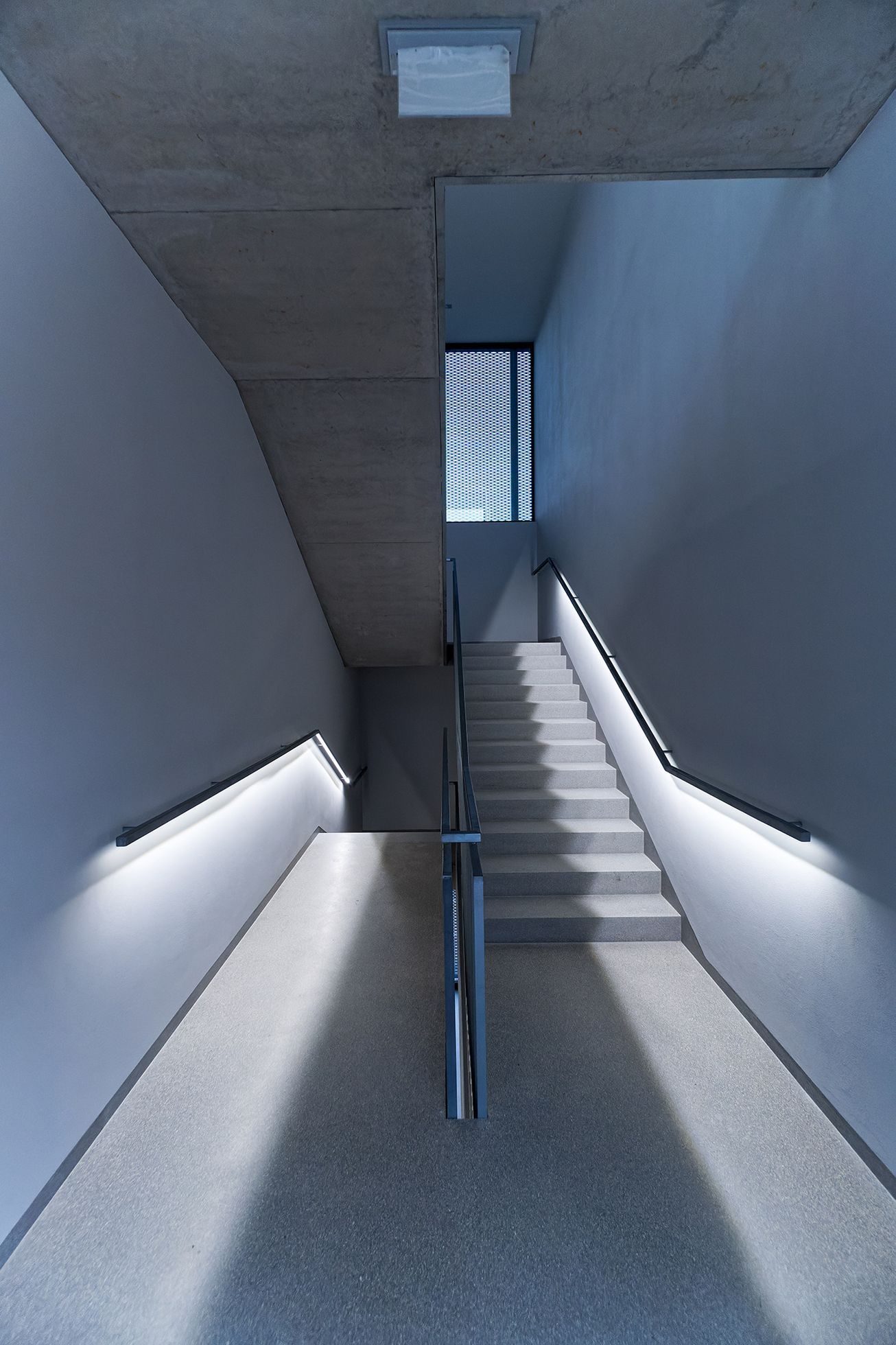 Top Foto 2023: Rok očima Tomáše Vocelky