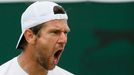 Tenis, Wimbledon, 2013: Jürgen Melzer