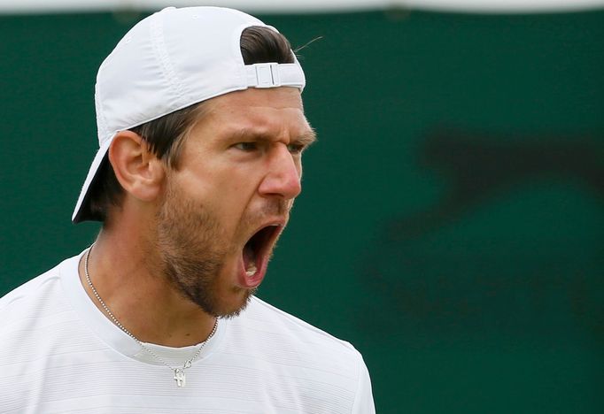 Tenis, Wimbledon, 2013: Jürgen Melzer