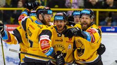 Hokejová extraliga 2019/20: Radost hokejistů Litvínova