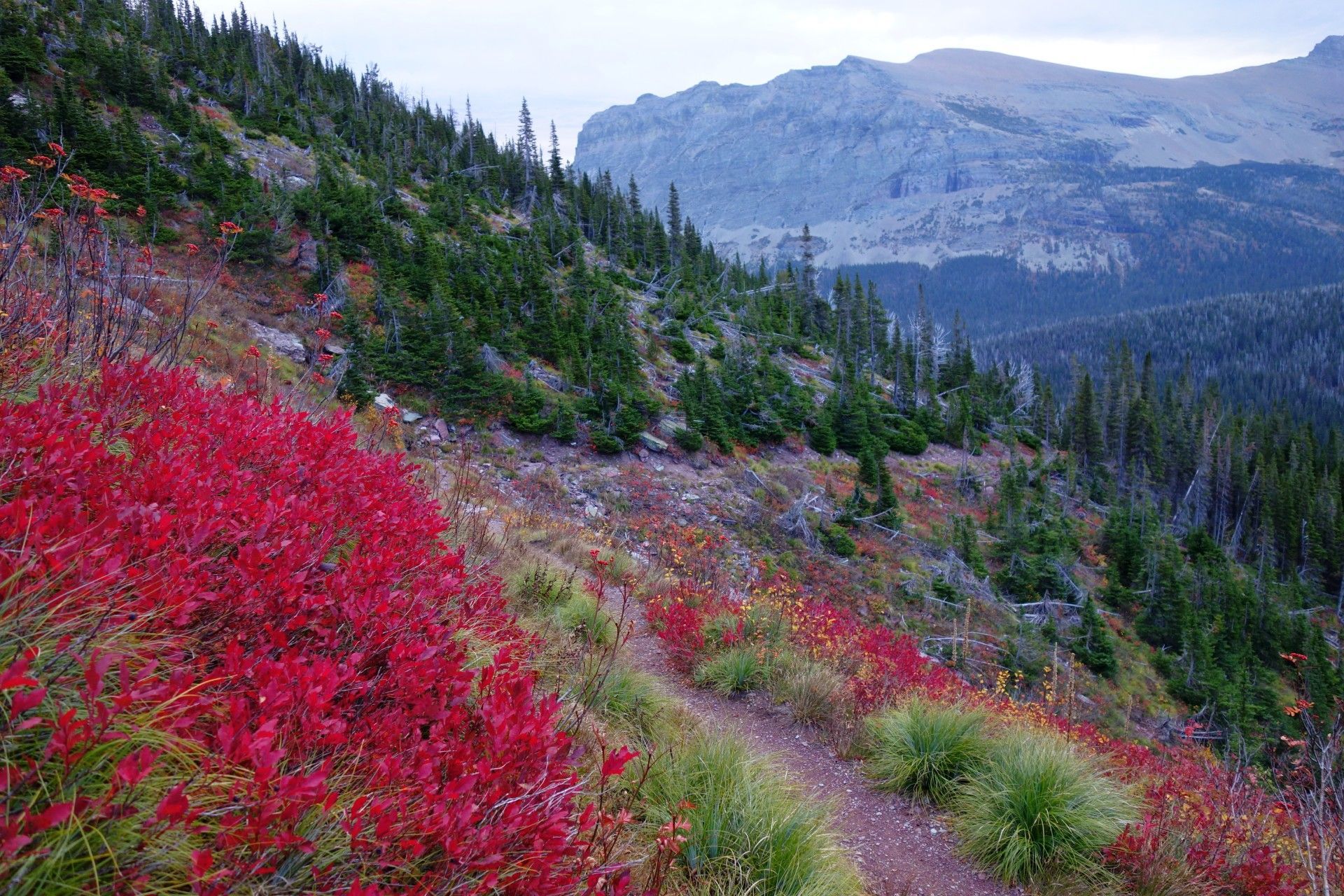 Petr Kosek, Continental Divide Trail, cestování, Amerika