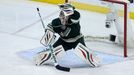 NHL: Stanley Cup Playoffs-Chicago Blackhawks vs Minnesota Wild (Ilja Bryzgalov)