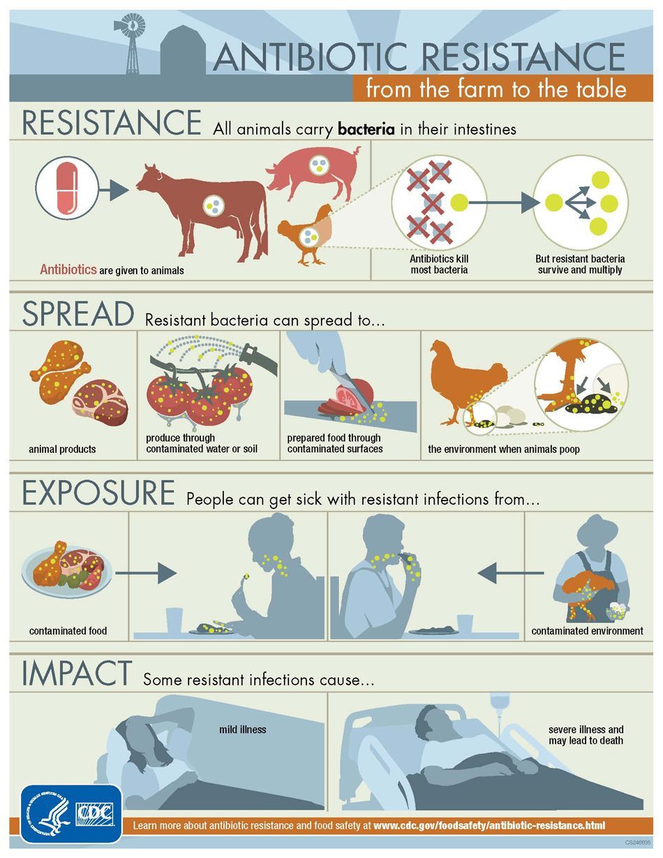 antibiotika, zvířata, lidi, leták CDC