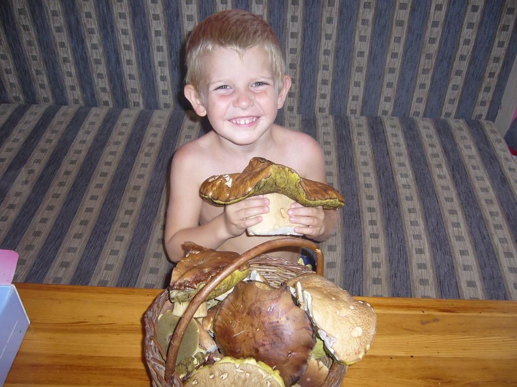 Fotosoutěž: Houby 2002 (srpen) xxx Gabriela Rosenvaldová xxx !!!Nepoužívat v článcích!!!