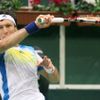 Semifinále Davis Cupu - první den: Štepánek - Mónako