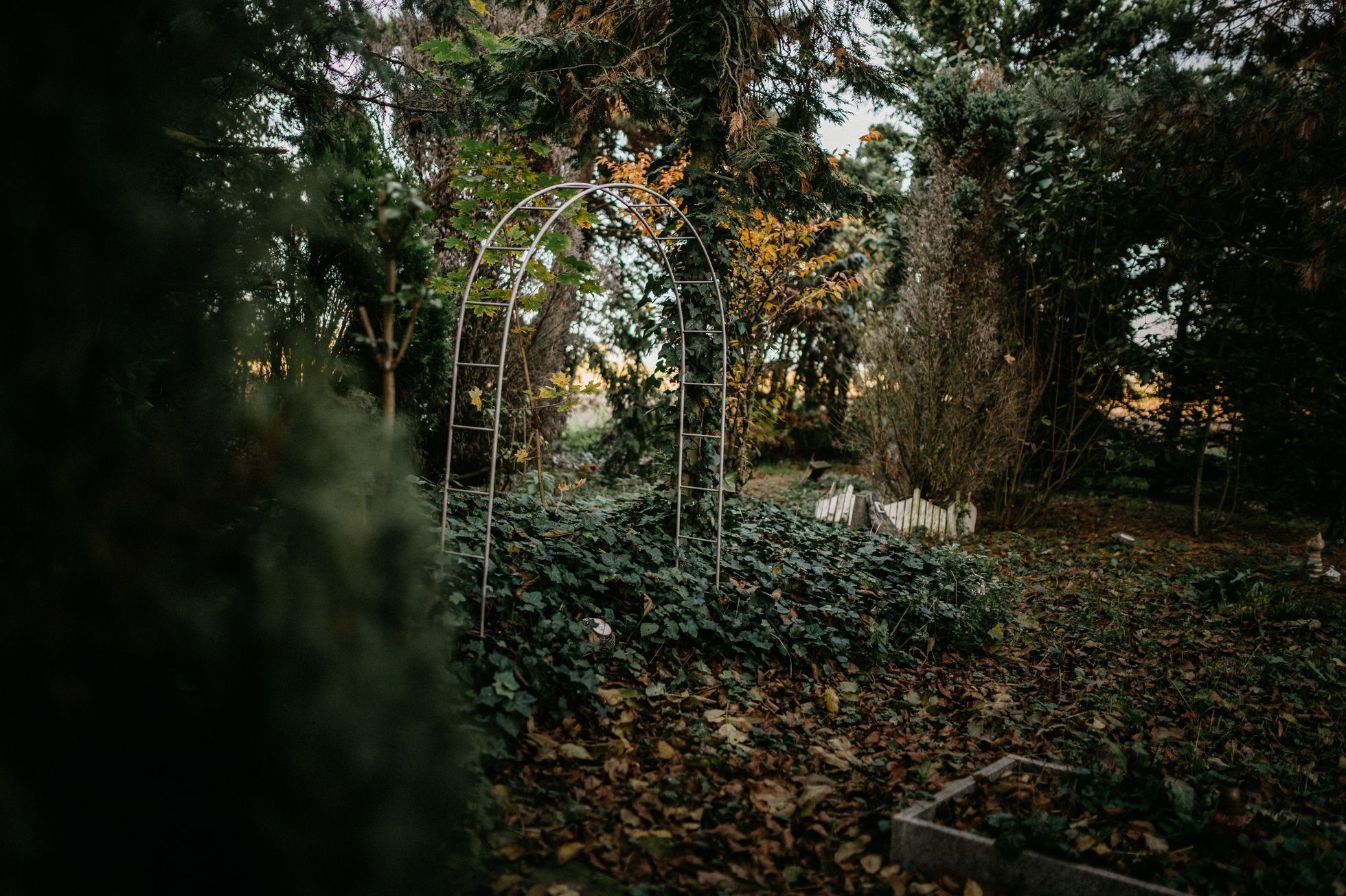 hřbitov Bohnice hřbitov bláznů