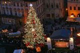 20 metrů vysoký vánoční strom pro Prahu pochází - stejně jako loni - z Krkonoš, hlavnímu městu ho darovalo Vrchlabí.
