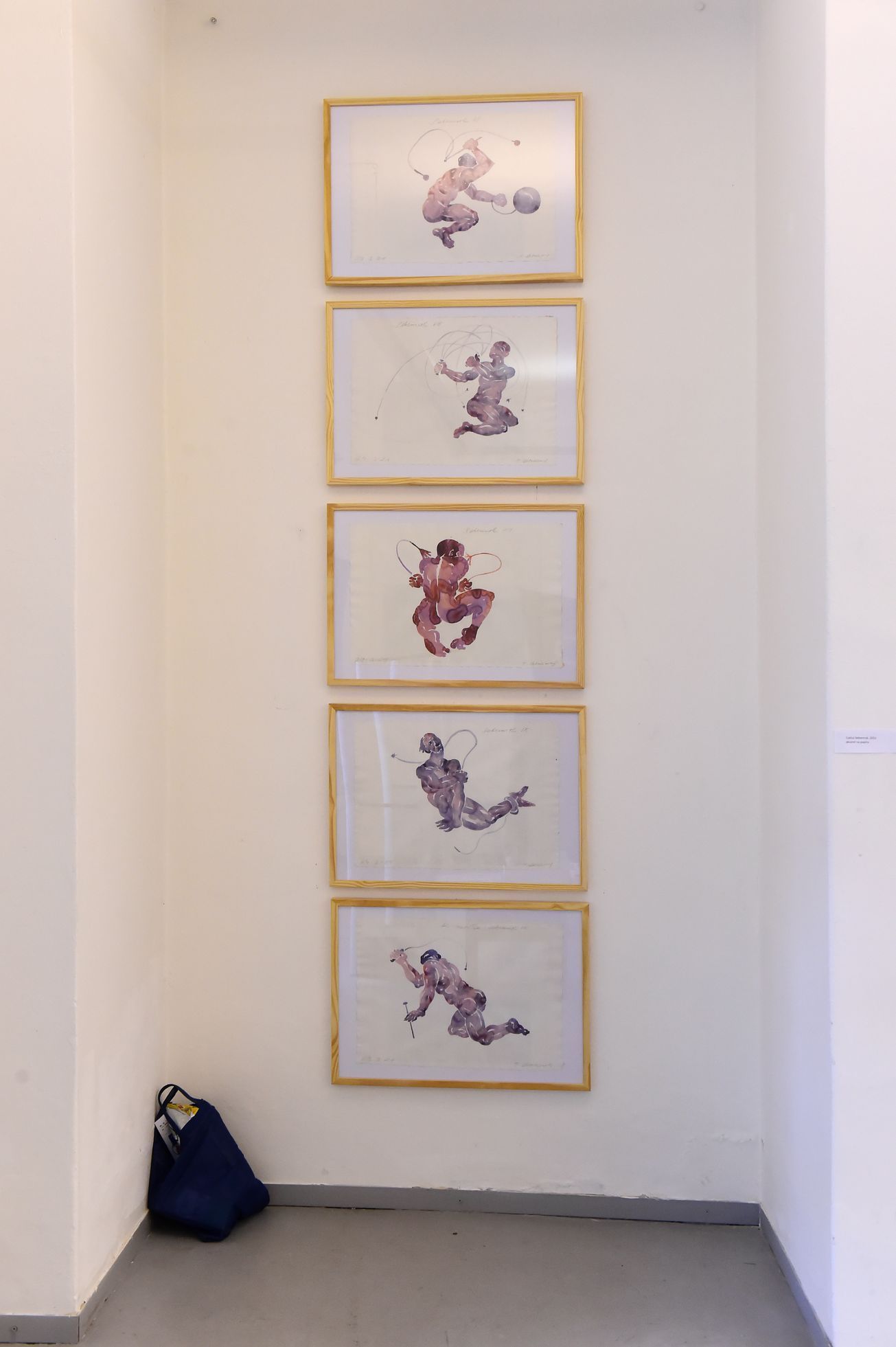 Tomáš Císařovský, Galerie Caesar