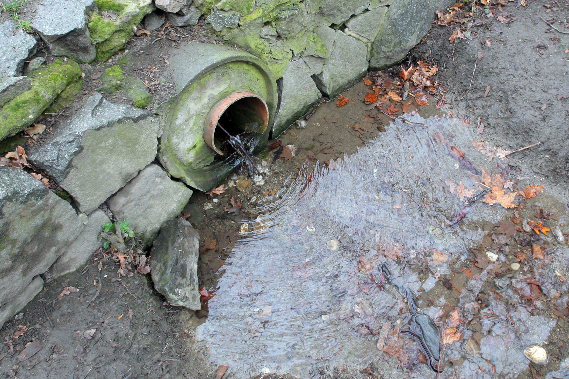 Pražské studánky