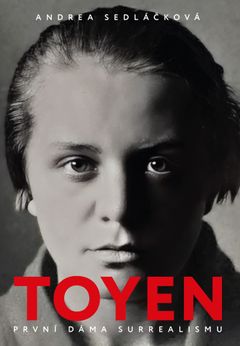 Na obalu knihy je fotografie Toyen od Jana Slavíčka pořízená roku 1923 v Dubrovníku.