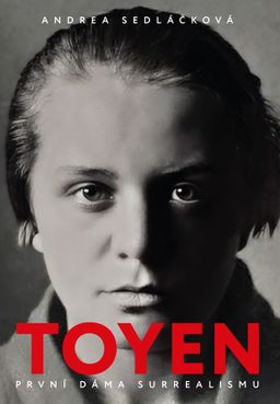 Andrea Sedláčková: Toyen