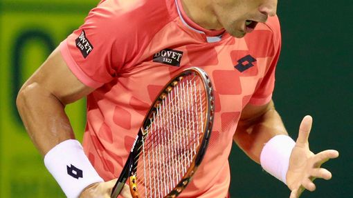David Ferrer v semifinále turnaje v Dauhá 2015