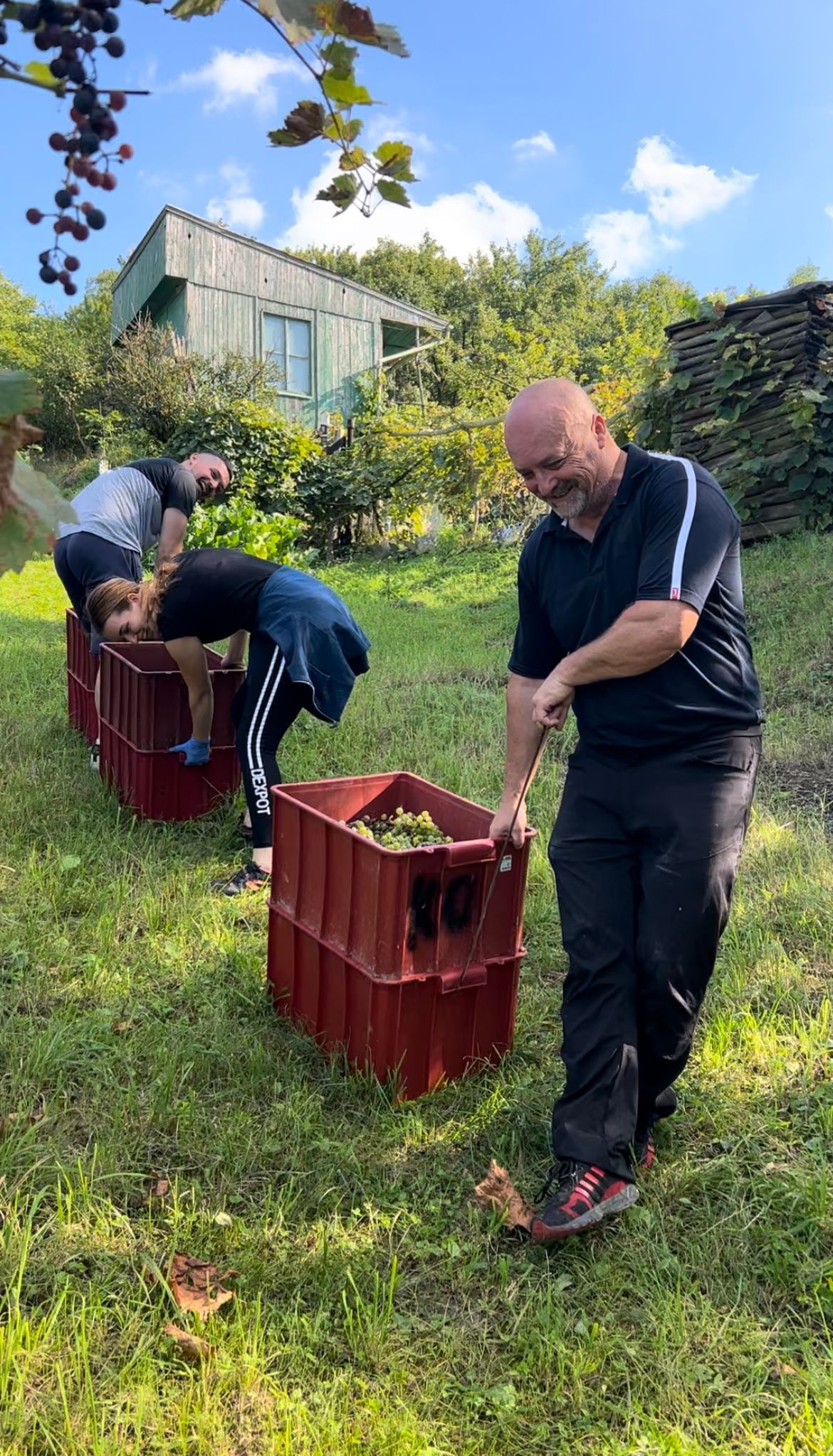 Vinný sklep U Otáhalů Hustopeče