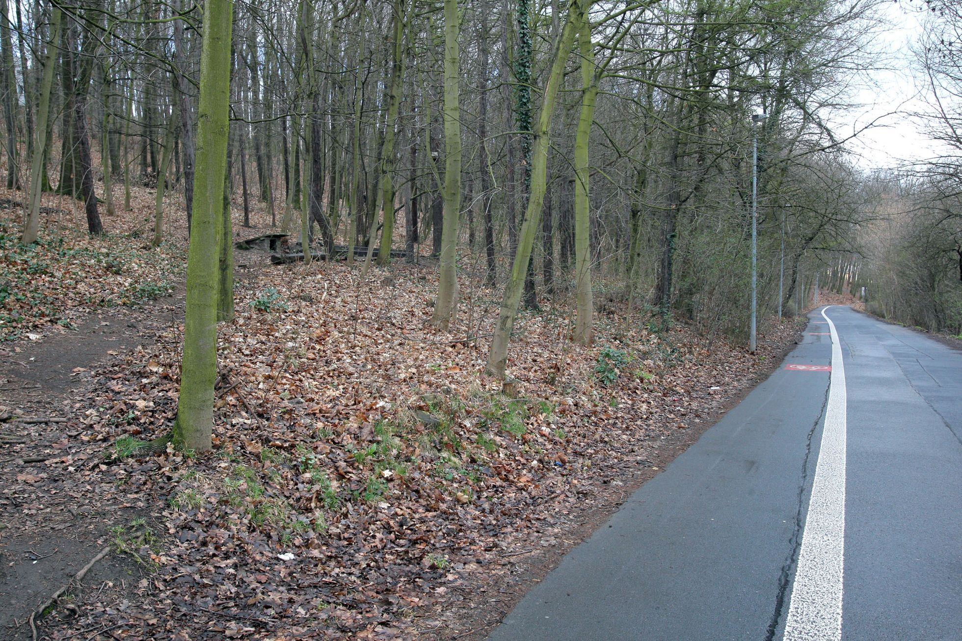 Pražské studánky