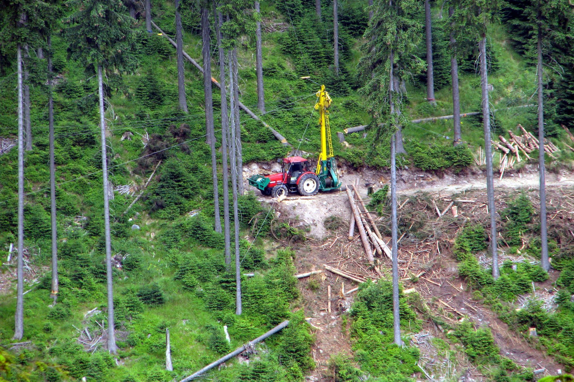 Krkonošský národní park