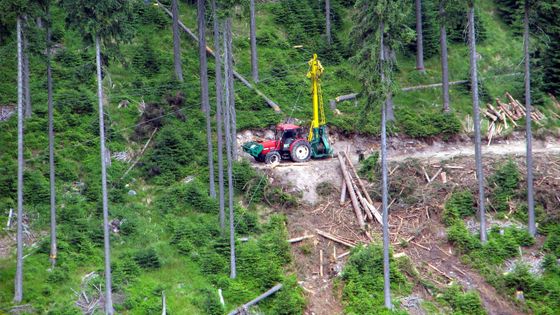 Fotokomentář: Krkonoším nejvíc škodí jejich hospodáři