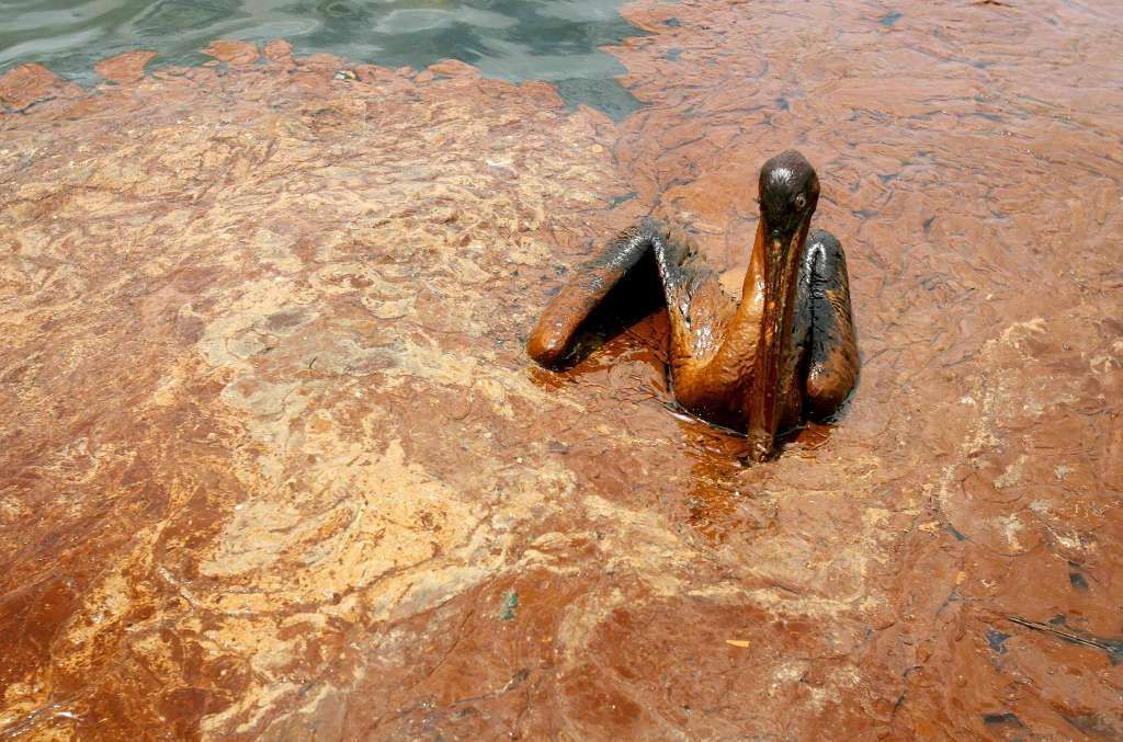 Roční výročí - exploze na Deepwater Horizon