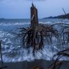 Fotogalerie: World Press Photo 2013