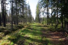 Chalupa rozdělí park Šumava na dvě části, varuje kníže