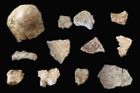 Belgičan našel v moři vzácnou lebku neandertálce
