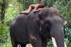 Nahá na ohroženém slonovi. Dcera tenisové legendy opět budí bouřlivé reakce