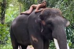 Nahá na ohroženém slonovi. Dcera tenisové legendy opět budí bouřlivé reakce