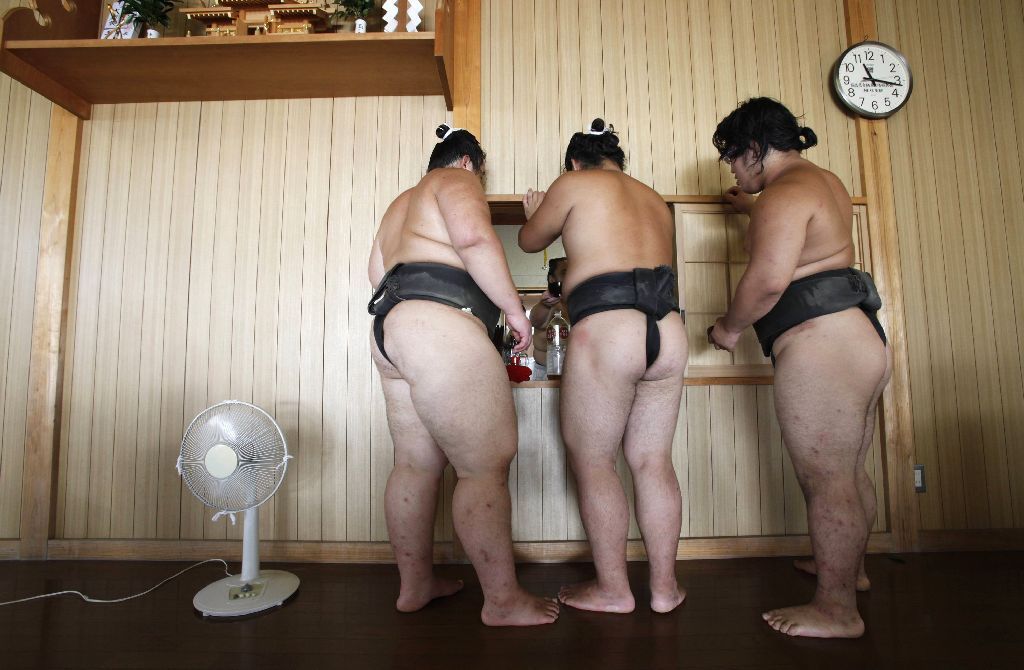 Japonští sumo na "letním táboře"