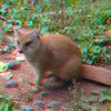 ZOO 3D